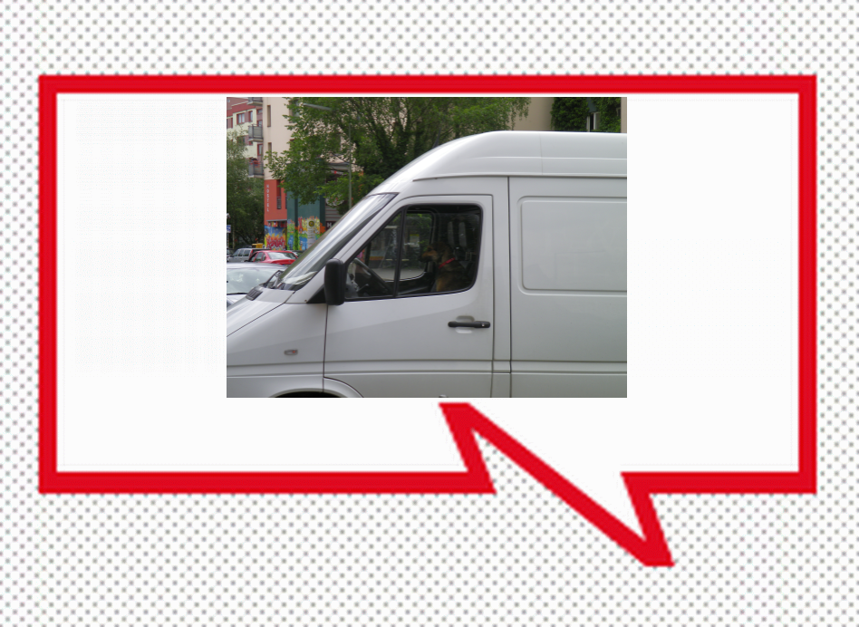 bebe3 be Berlin Tip 1: Let your dog drive