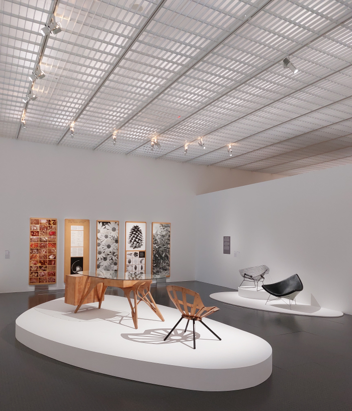 Works from the chapter Biomorphism, as seen at Mimesis. A living design, Centre Pompidou-Metz