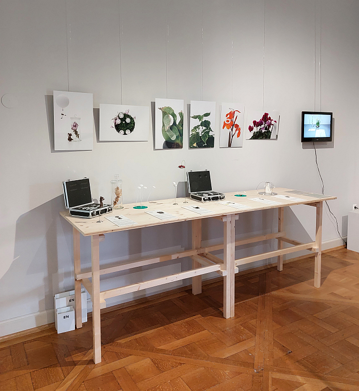 The Plant Sex Consultancy by Pei-Ying Lin, Špela Petrič, Dimitris Stamatis & Jasmina Weiss, a series of erotic aids to help plants whose sex life has been disrupted, hampered, by climate change or other human activity, as seen at Plant Fever. Towards a Phyto-centred design, Schloss Pillnitz, Dresden