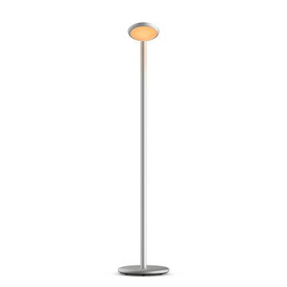 Parrot Portable Lamp