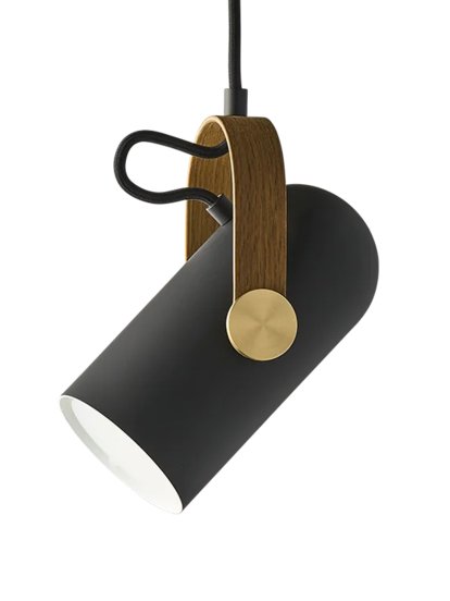 Carronade II Spot Pendant Lamp