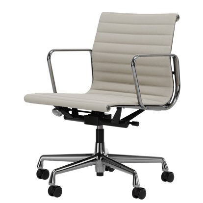 Aluminium Group EA 117, Polished, Leather (Standard), Snow