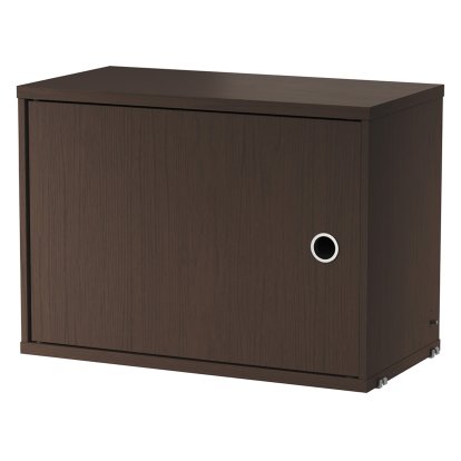 String System Cabinet with swing door, Oak veneer dark