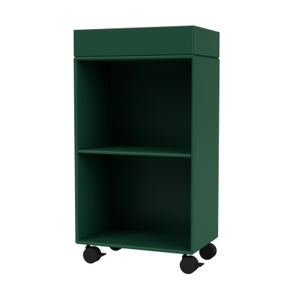 Preppy Trolley, Pine