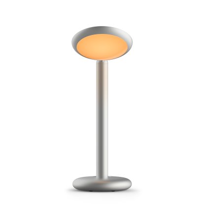 Parrot Table Lamp, Silver