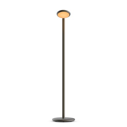 Parrot Portable Lamp, Black brass